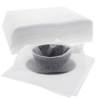 Verpackungsmaterial Schaumplatten 100 Stück  300 x 300 x 1 mm